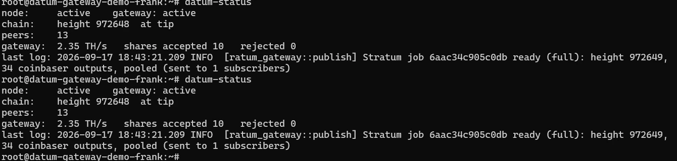 datum-status showing hashrate and accepted shares